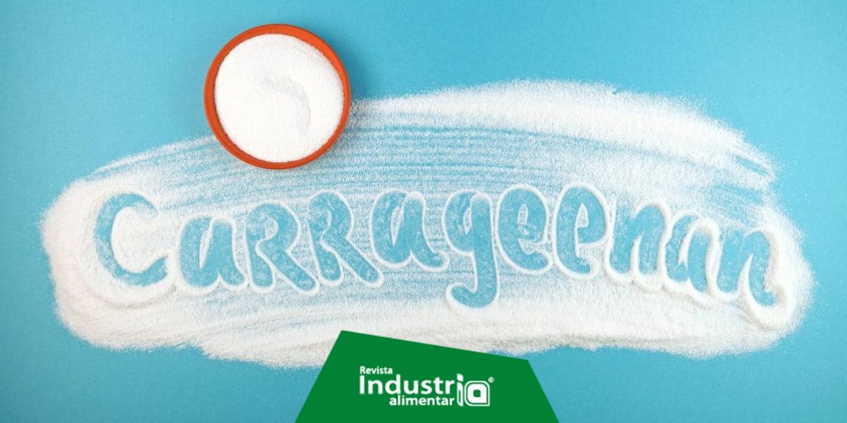 Imagen del artículo El aditivo más popular en la industria alimentaria en 2023 es la carragenina